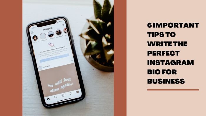 Tips mengoptimalkan bio instagram untuk bisnis