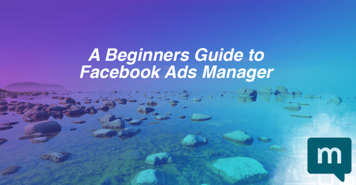 Panduan membuat iklan sederhana facebook ads manager dasar