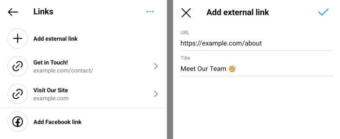 Cara menambahkan link di bio instagram lebih dari satu