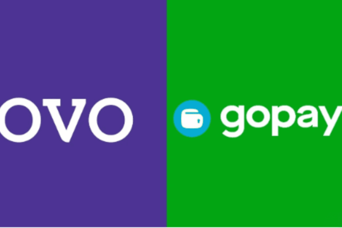 OVO/DANA/GoPay: transfer saldo & top up dari berbagai metode